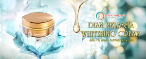 Thành phần kem trị nám dian beauty