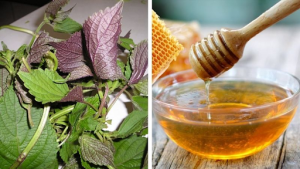 Đắp mặt nạ lá tía tô và dưỡng da bằng mật ong